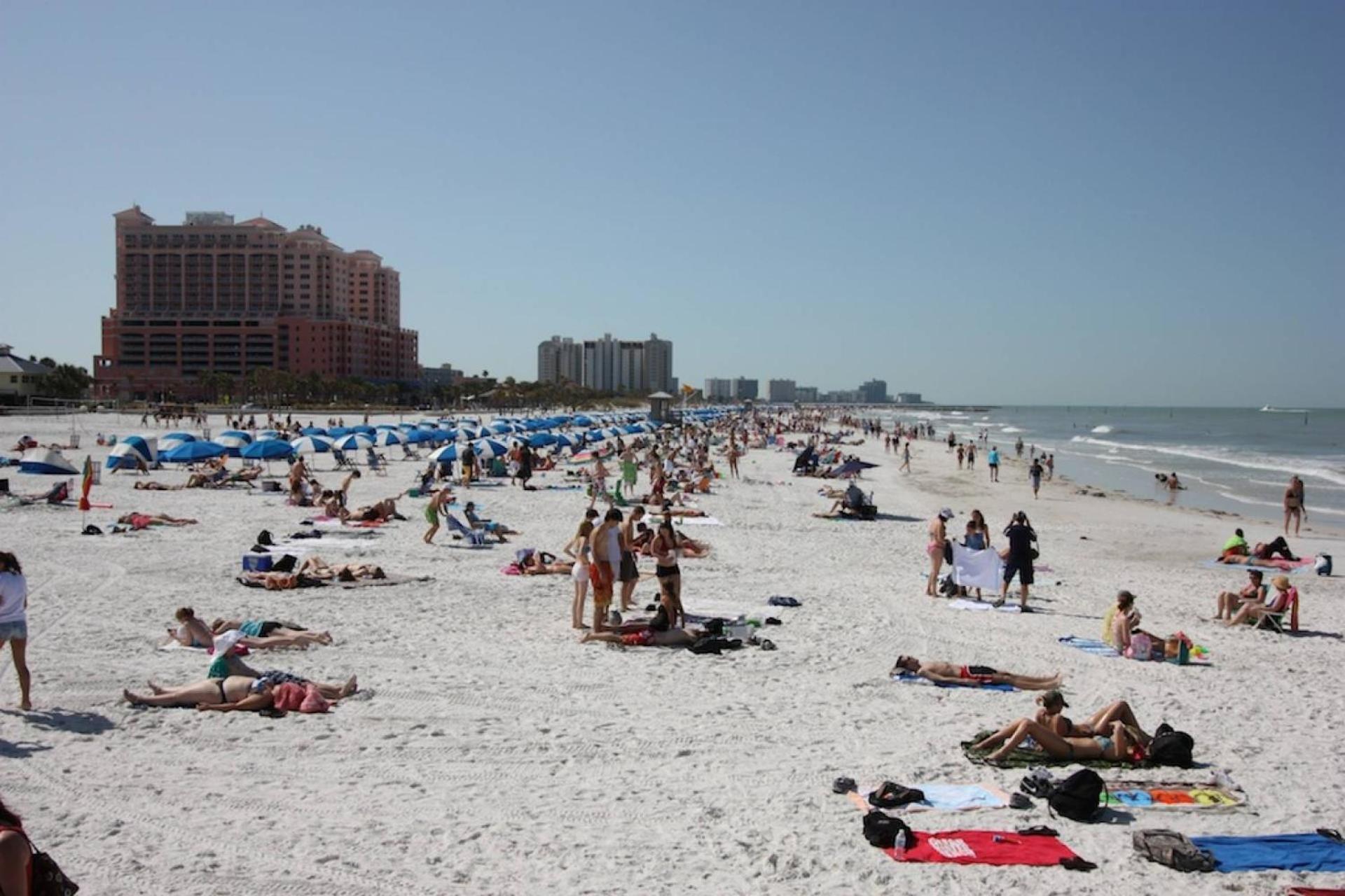 508 Bayshores Yacht & Tennis Club Clearwater Beach Εξωτερικό φωτογραφία